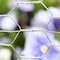 Garden Zone Garden Craft 18 in. H X 50 ft. L Galvanized Steel Poultry Netting 1 in. 161850 - alternate 5